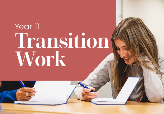 SL-BCSFC-Website-ALL-Transition-Work-2-556x3852-1.jpg